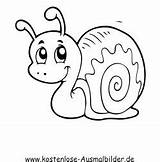 Schnecke Schnecken Ausmalbild Ausmalen Zeichnen Kostenlose Ausmalbildkostenlos Zeichnungen Snail sketch template