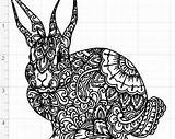 Svg Mandala Zentangle Rabbit Eps Dxf Pdf Bunny Cut Studio Cat Etsy sketch template