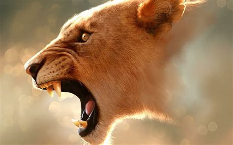 hd wallpaper angry wild animal fast animals wallpaper flare