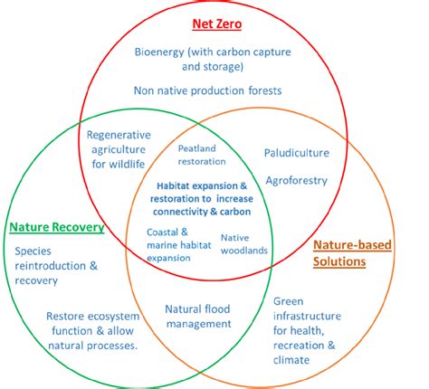 examples  relationships  nature based solutions nature  scientific diagram