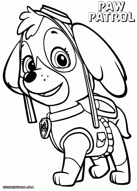 paw patrol coloring pages  preschoolers