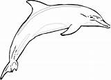 Dolphin Coloring Delfino Delfin Dauphin Colorare Shark Ausdrucken Ausmalen Koi Delfini Clipartmag Dolphins Ausmalenbilder Disegni Coloriages Indietro Malvorlagen sketch template
