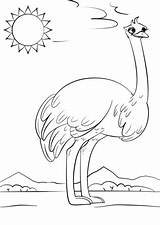 Ostrich Coloring Letter Pages Cartoon Printable Preschool Alphabet Supercoloring Kids Worksheets Drawing Printables Crafts Ocean Abc Categories Animals Puzzle Book sketch template