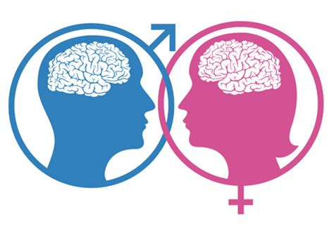 viewpoint we can t ignore scientific evidence about male female brain