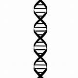 Dna Drawing Drawings Sketches Imgkid Doodle Kid sketch template