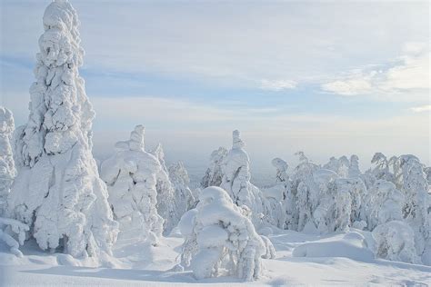 winter russia snow  photo  pixabay