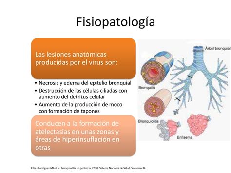 Bronquitis Y Bronquiolitis