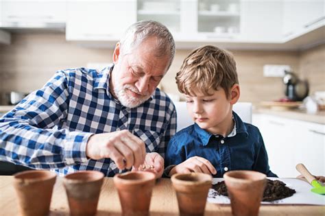 senior grandfather with small grandson sitting at the