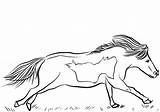 Coloring Horse Miniature Pages Runs Mini Categories Drawing sketch template