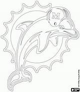 Dolphins Team Hurricanes sketch template