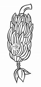 Banana Outline Drawing Split Coloring Pages Getdrawings sketch template