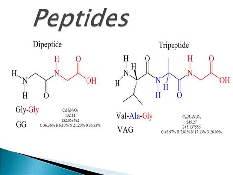 peptide types  functions  biology notes