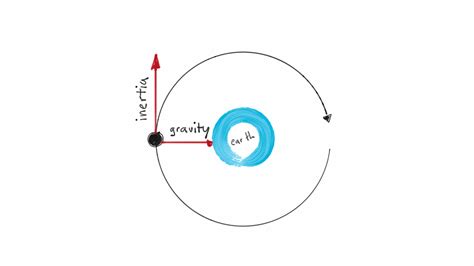 inertia  force  holds  universe