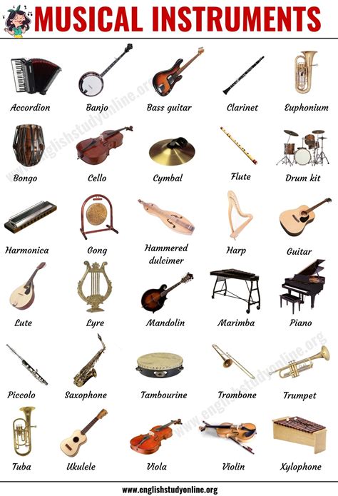 musical instruments list   popular types  instruments  english