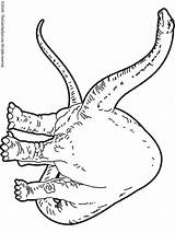 Apatosaurus Coloring Pages Dinosaur Colouring Printable Color Getcolorings sketch template