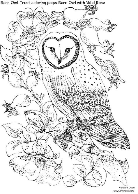 owl colouring pages abstract coloring pages owl coloring pages