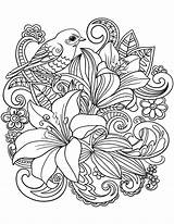 Coloring Pages Adults Floral Bouquet Bird Kids sketch template