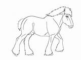 Horse Shire sketch template