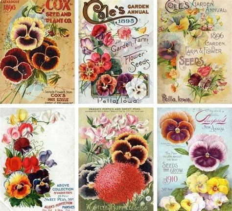 freeprintablevintageseedpackets vintage seed packets flower