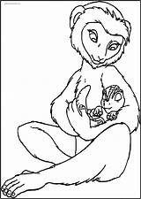 Lemur Coloringbay sketch template