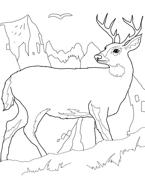 gambar  printable deer coloring pages kids pictures  rebanas