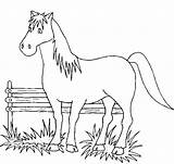 Cavalli Cavallo Cavalos Stampare Konji Cheval Bojanje Konja Cavalo Chevaux sketch template