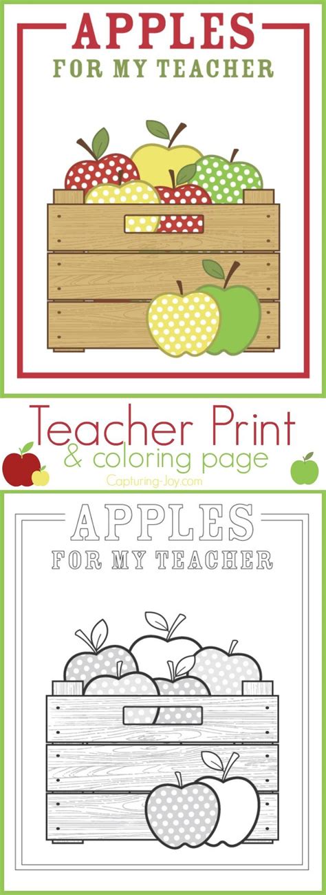 apples   teacher print  coloring page apple teacher gifts