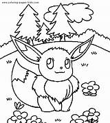 Pokemon Coloring Pages Kids Cartoon Color Printable Sheets Characters Eevee Character Anime Printables Groudon Pikachu Print Clipart Fox Post Sheet sketch template