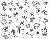 Flower Flowers Drawing Drawings Simple Doodles Easy Doodle Pattern Inspiration Draw Small Beginners Sketches Kids Coloring Designs Patterns Little Drawn sketch template