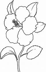 Flower Hibiscus Coloring Pages Hawaii State Flowers Printable Drawing Kids Colouring Print Color Dogwood Drawings Tree Sheets Template Bestcoloringpagesforkids Draw sketch template
