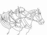 Clydesdale Coloring Horses Fonika sketch template