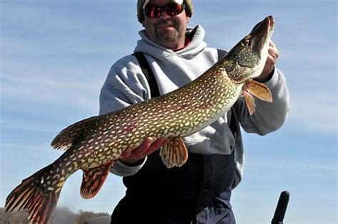 protections considered as too many big mille lacs pike