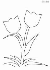 Tulpe Malvorlage Tulips Tulpen Ausmalbild Blüten Frühling Stiel sketch template