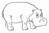 Hippopotamus Ippopotamo Animale Coloritura Adulti Foresta sketch template