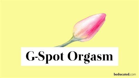 G Spot Orgasm The Non Splash Proof O Beducated Magazine