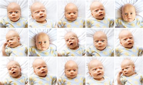 babys passport photo wandering wheatleys