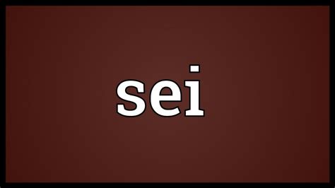 sei meaning youtube