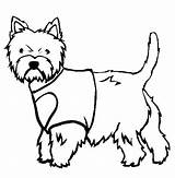 Coloring Terrier West Highland Westie Pages Cairn Dogs Dog Drawing Disney Weeds Designlooter Clipartmag Thecolor Getdrawings Welsh 565px 99kb Drawings sketch template