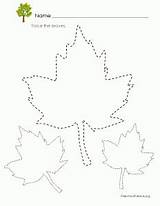 Tracing Leaves Worksheets Fall Leaf Traceable Worksheet Preschool Autumn Kindergarten Pages Letter Tracer Trace Printable Crafts Activities Coloring Templates Kids sketch template