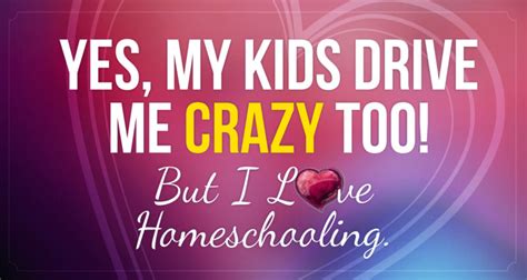 kids drive  crazy    love homeschooling seton magazine