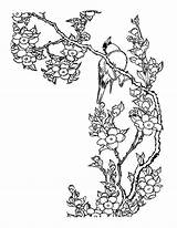 Cerisier Japon Japonais Oiseau Oiseaux Blossoms Coloriages Uccelli Template Ccm2 Cerisiers Japonaises Coloringhome Ecrire sketch template