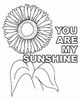 Coloring Sunflower Sunflowers sketch template