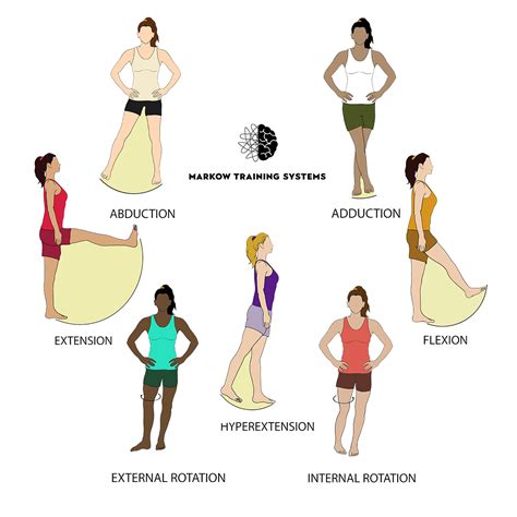illustrate full body positions  movements   guide  carolinabuiles fiverr lupongovph