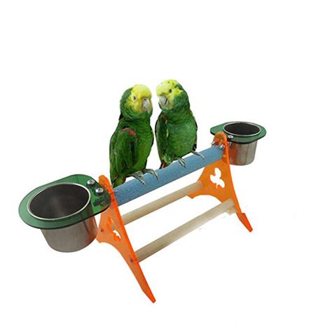 acrylic parrot toy canary bird cage accessories grinding station stand parrot desktop stand