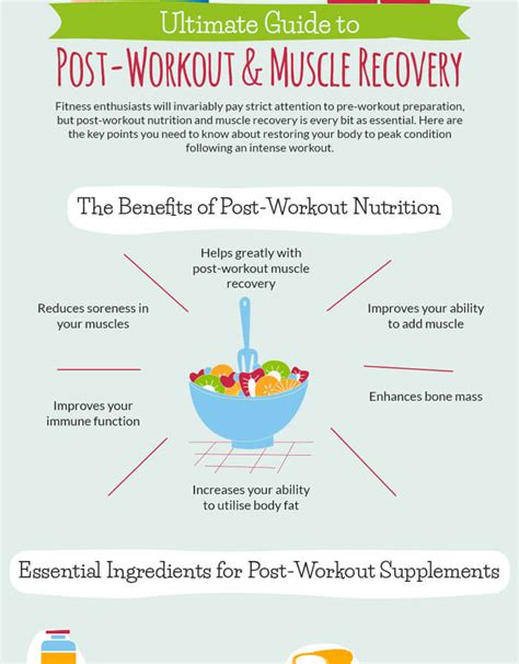 Ultimate Guide To Post Workout And Muscle Recovery Infographic