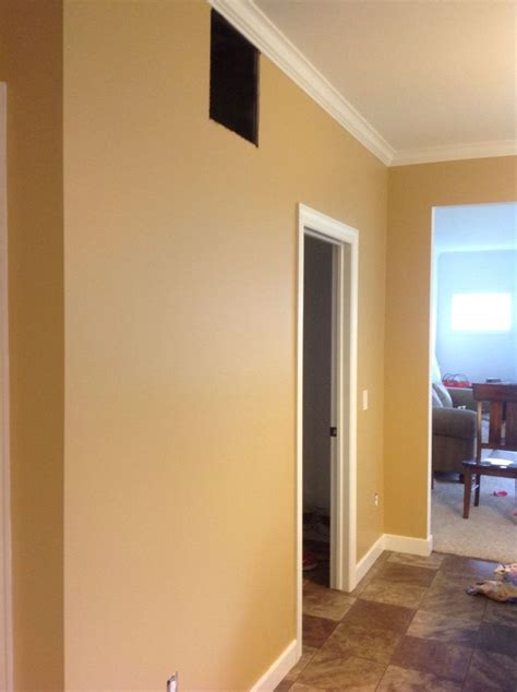 yellow gold paint color living room    sherwin williams