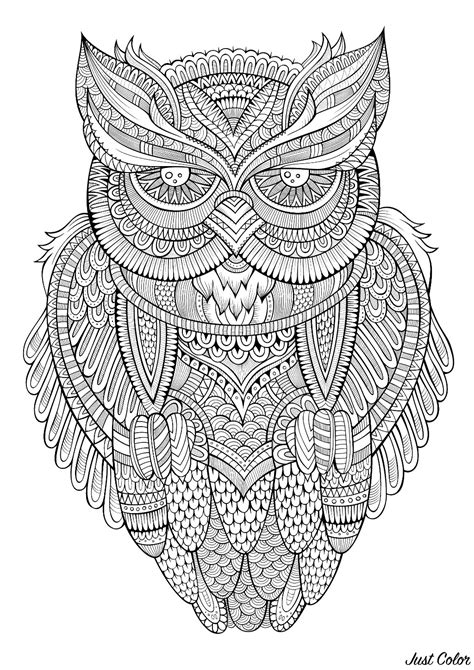 peaceful owl owls adult coloring pages