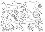 Fish Coloring Pages Drawing Printable Colour Color Blue Template Angler Cartoon Warship Ocean Print Sheets Paintingvalley Animals Animal Sea Kids sketch template
