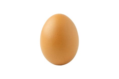 chicken egg raw  png