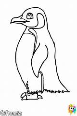 Pinguinos sketch template